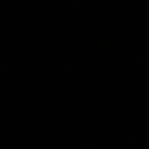 Meet your Posher, Isabella